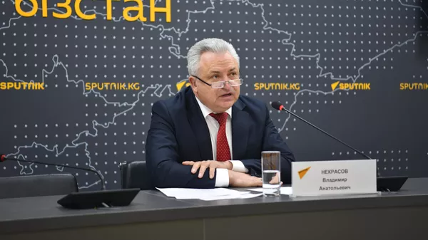 Россиянын экспорттук борборунун директору Владимир Некрасов  - Sputnik Кыргызстан