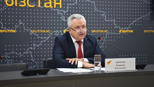 Россиянын экспорттук борборунун директору Владимир Некрасов  - Sputnik Кыргызстан