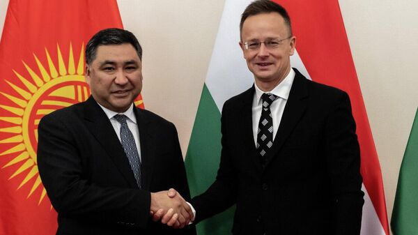 КР өкмөт башчысынын орун басары Данияр Амангелдиев менен Венгриянын ТИМ башчысы Петер Сийярто жолугушканда  - Sputnik Кыргызстан