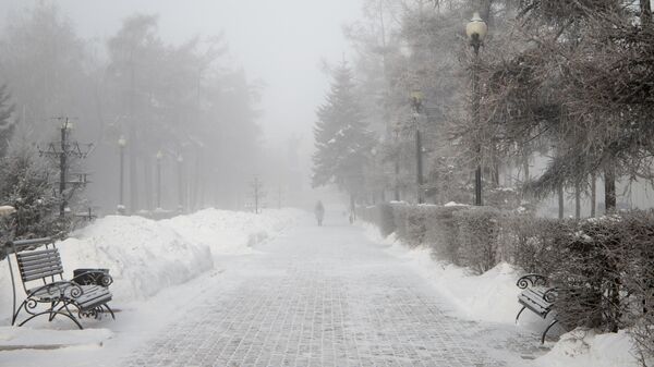 Девочка в сквере во время тумана - Sputnik Кыргызстан