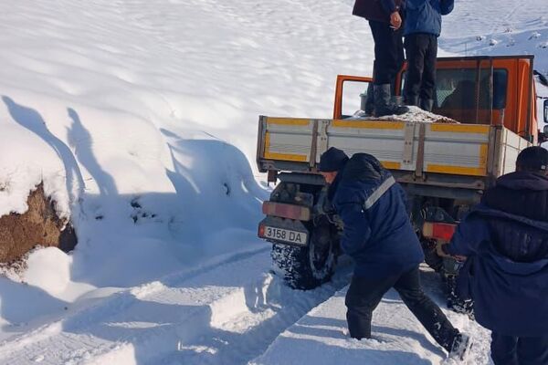 Алар: 7 250 майда жандык, 330 баш бодо мал, 180 баш жылкы дешти - Sputnik Кыргызстан