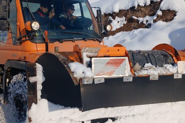 Маалыматка караганда, жалпы 13 короодо 26 малчы менен 7 760 баш мал азык-түлүксүз, тоютсуз калган - Sputnik Кыргызстан