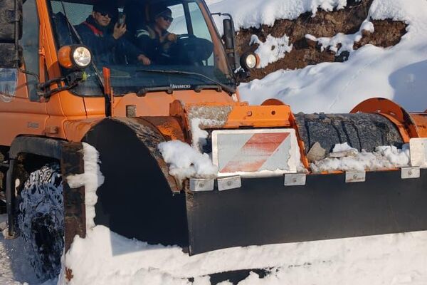 Маалыматка караганда, жалпы 13 короодо 26 малчы менен 7 760 баш мал азык-түлүксүз, тоютсуз калган - Sputnik Кыргызстан