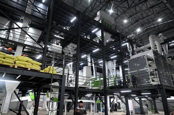 Строительство завода обошлось в 5 миллионов долларов, объект возведен на 7 гектарах. - Sputnik Кыргызстан