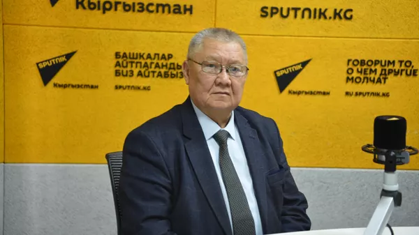 Государственный и политический деятель, доктор политических наук Токон Мамытов - Sputnik Кыргызстан