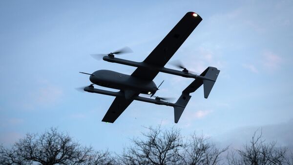 Иллюстративдик сүрөт - Sputnik Кыргызстан