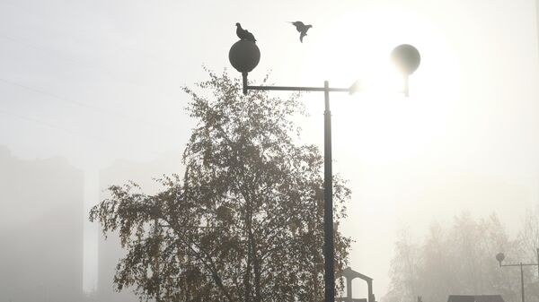 Тумандуу аба-ырайы - Sputnik Кыргызстан