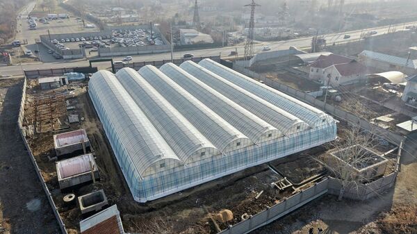 Мэр Оша заявил, что в городе строят первую в Кыргызстане современную теплицу размером с футбольное поле - Sputnik Кыргызстан