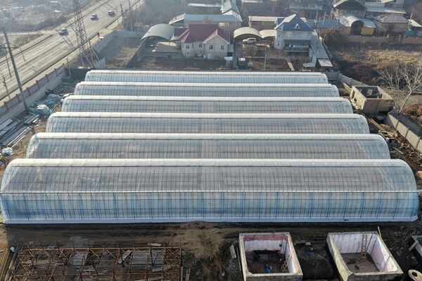 Мэр Оша Женишбек Токторбаев заявил, что такой теплицы в Кыргызстане еще не было  - Sputnik Кыргызстан