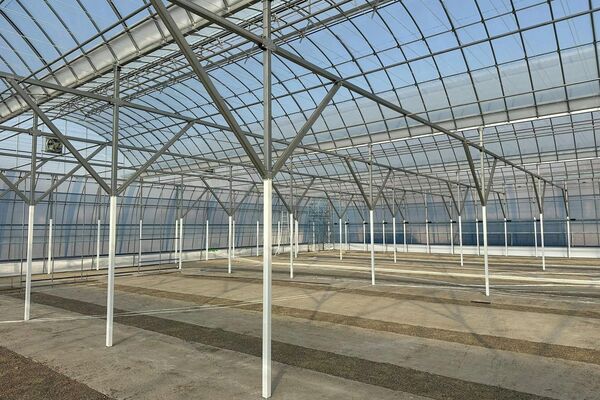 Системы полива, отопления и вентиляции будут полностью автоматизированы - Sputnik Кыргызстан