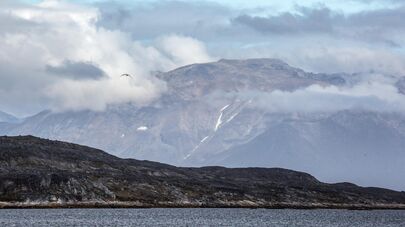 Остров Гренландия