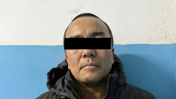 Энесин жаздык менен тумчуктуруп өлтүрүүгө аракет кылды деп шектелген киши кармалды - Sputnik Кыргызстан