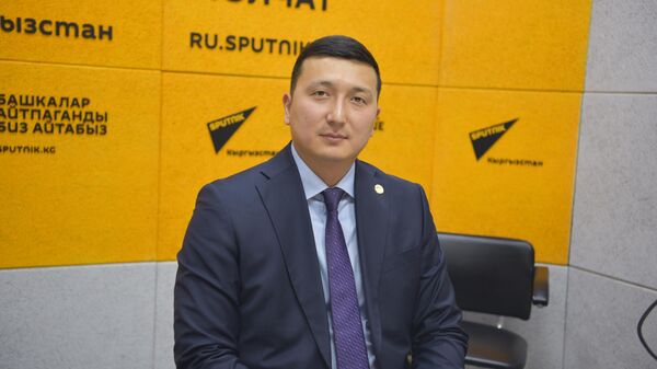 Жарандык авиация мамлекеттик агенттигинин директорунун орун басары Канат Төлөгөнов - Sputnik Кыргызстан