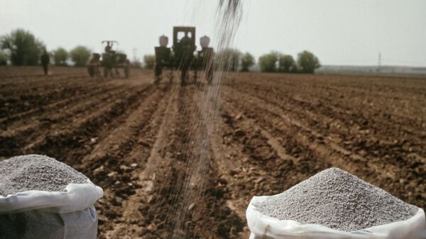 Мешки с удобрениями на поле - Sputnik Кыргызстан