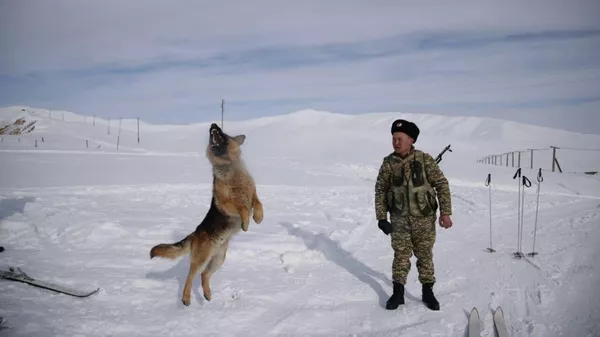 Кыргызские пограничники в Нарынской области на границе с Китаем  - Sputnik Кыргызстан