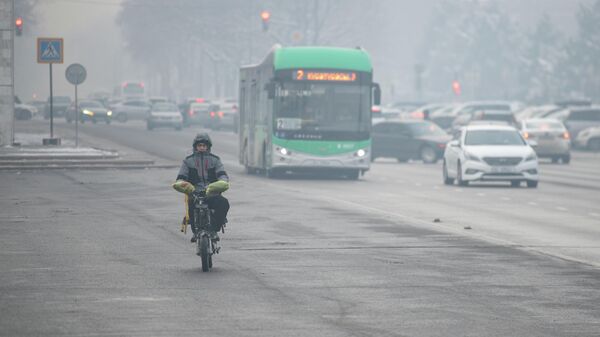 Кышкы аба ырайы. Архив - Sputnik Кыргызстан