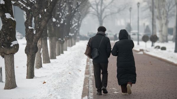 Кышкы аба ырайы - Sputnik Кыргызстан