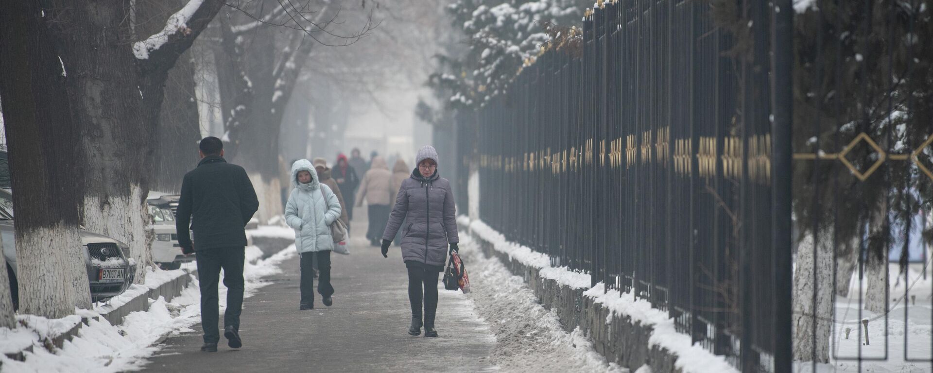 Бишкек аба ырайы - Sputnik Кыргызстан, 1920, 01.02.2026