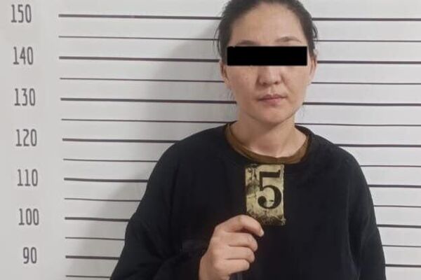 Подозреваемая в похищении несовершеннолетней в Токмоке - Sputnik Кыргызстан