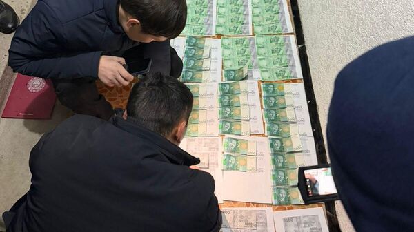 Шектүүлөрдөн алынган каражат - Sputnik Кыргызстан