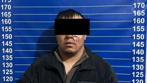 Адамды өлтүрүүгө шектелип кармалган киши - Sputnik Кыргызстан