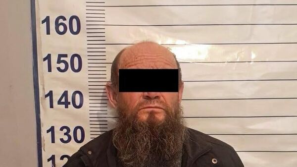 Небересин зордуктоого шектелген киши - Sputnik Кыргызстан