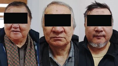 Задержаны трое подписавших обращение о проведении досрочных выборов президента