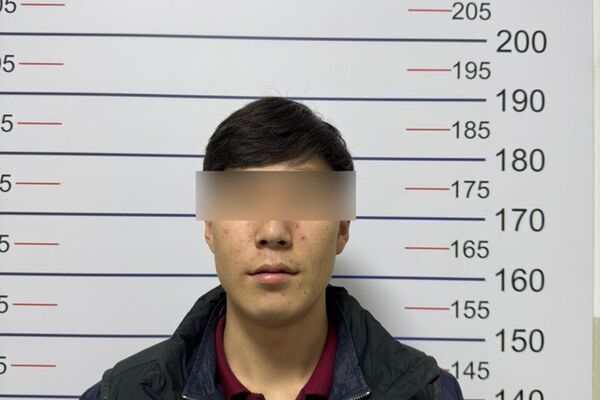 Алдамчылыкка шектүүлөр - Sputnik Кыргызстан