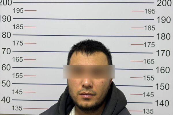 Алдамчылыкка шектүүлөр - Sputnik Кыргызстан