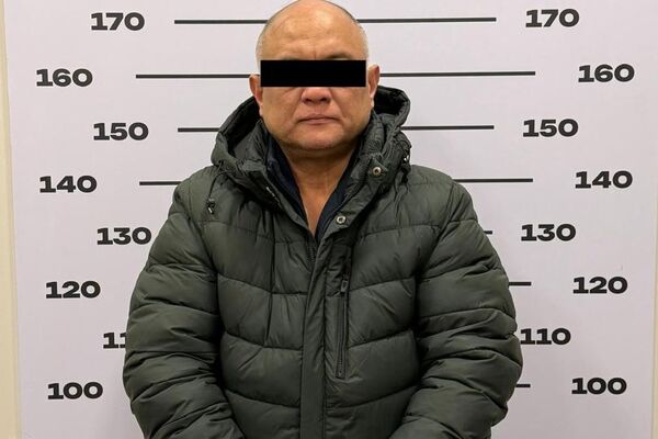 Коррупционная схема выявлена в Республиканском центре крови - Sputnik Кыргызстан