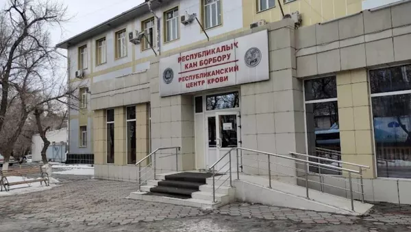 Коррупционная схема выявлена в Республиканском центре крови - Sputnik Кыргызстан