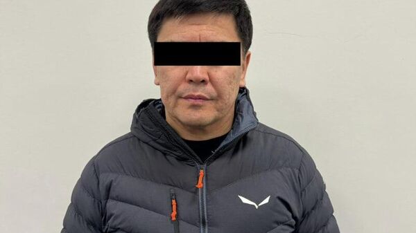  Жогорку Кеңештин мурдагы депутаты Кубанычбек Конгантиев - Sputnik Кыргызстан