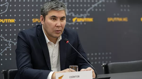 Экономика министринин биринчи орун басары Чоро Сейитов - Sputnik Кыргызстан