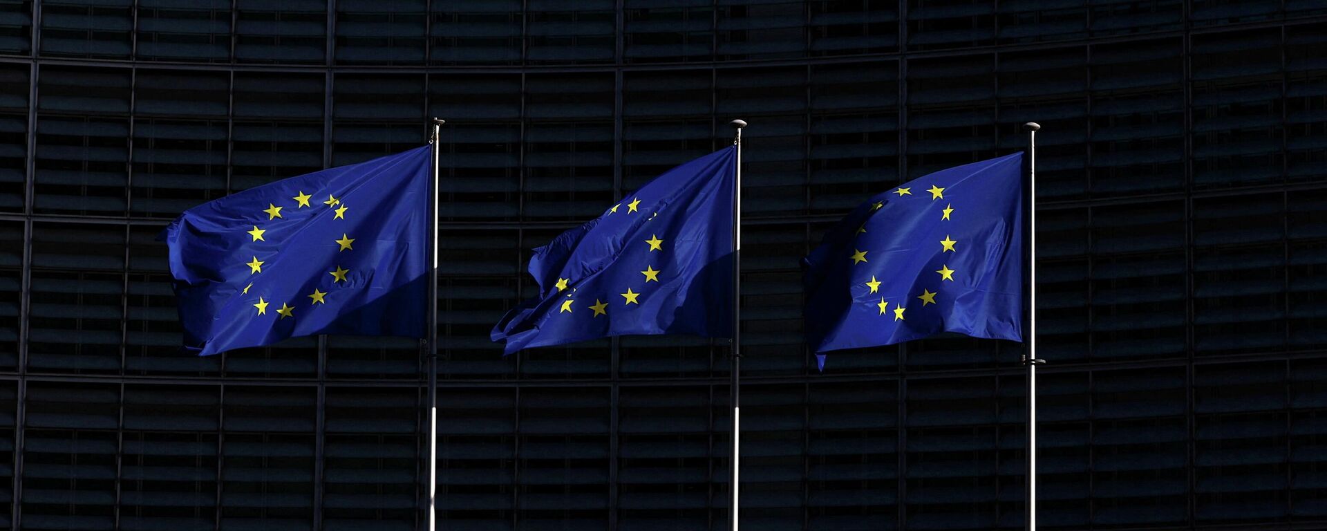 Евробиримдиктин желеги - Sputnik Кыргызстан, 1920, 21.03.2026