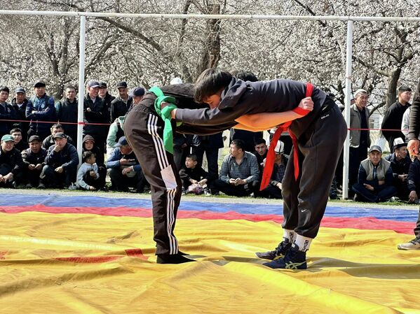 В Баткене были организованы состязания по борьбе, перетягиванию палки, перетягиванию каната и армрестлингу - Sputnik Кыргызстан