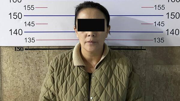 Алдамчылык схемасын уюштурууга шектүү - Sputnik Кыргызстан