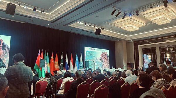 Шанхай кызматташтык уюму ооруканалар альянсынын конференциясы - Sputnik Кыргызстан