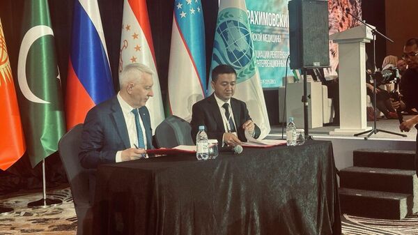 Кыргызстан менен Россиядагы ири медициналык борборлордун кызматташуусу боюнча меморандумга кол коюлду - Sputnik Кыргызстан