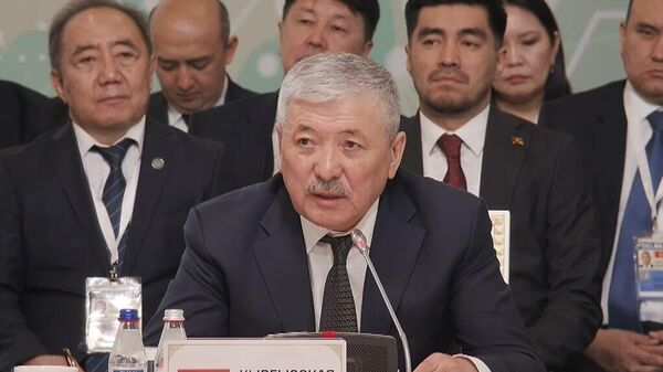 Адылбек Касымалиев Казакстандын Шымкент шаарында өтүп жаткан Евразия өкмөттөр аралык кеңешинин жыйынында  - Sputnik Кыргызстан