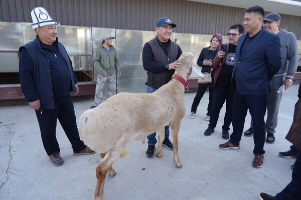 Ишкерлер асыл тукумдуу малдын эмбрионун тоңдуруу үчүн заманбап лаборатория куруу маселесин айтышты - Sputnik Кыргызстан