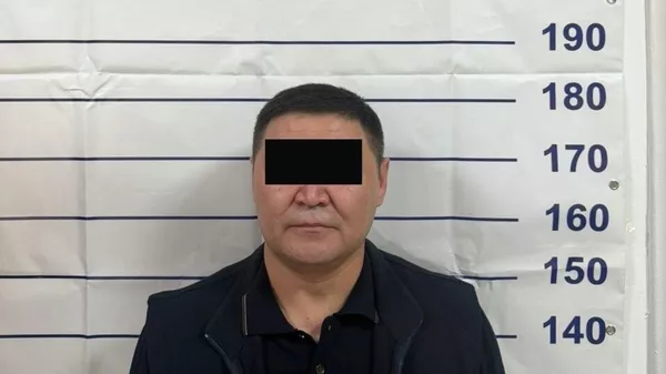 Шаирбек Ташиев - Sputnik Кыргызстан