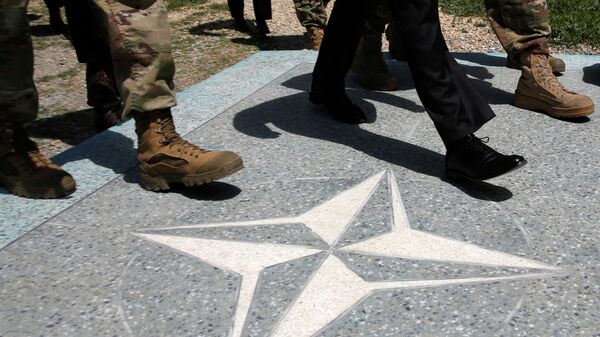  НАТОнун логотиби - Sputnik Кыргызстан