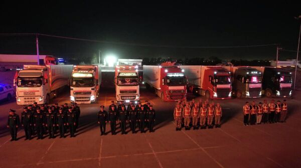 Кыргызстан Иранга гумжардам жөнөтөт - Sputnik Кыргызстан