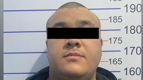 Бишкекте ири алдамчылыкка шектелген жигит кармалды - Sputnik Кыргызстан