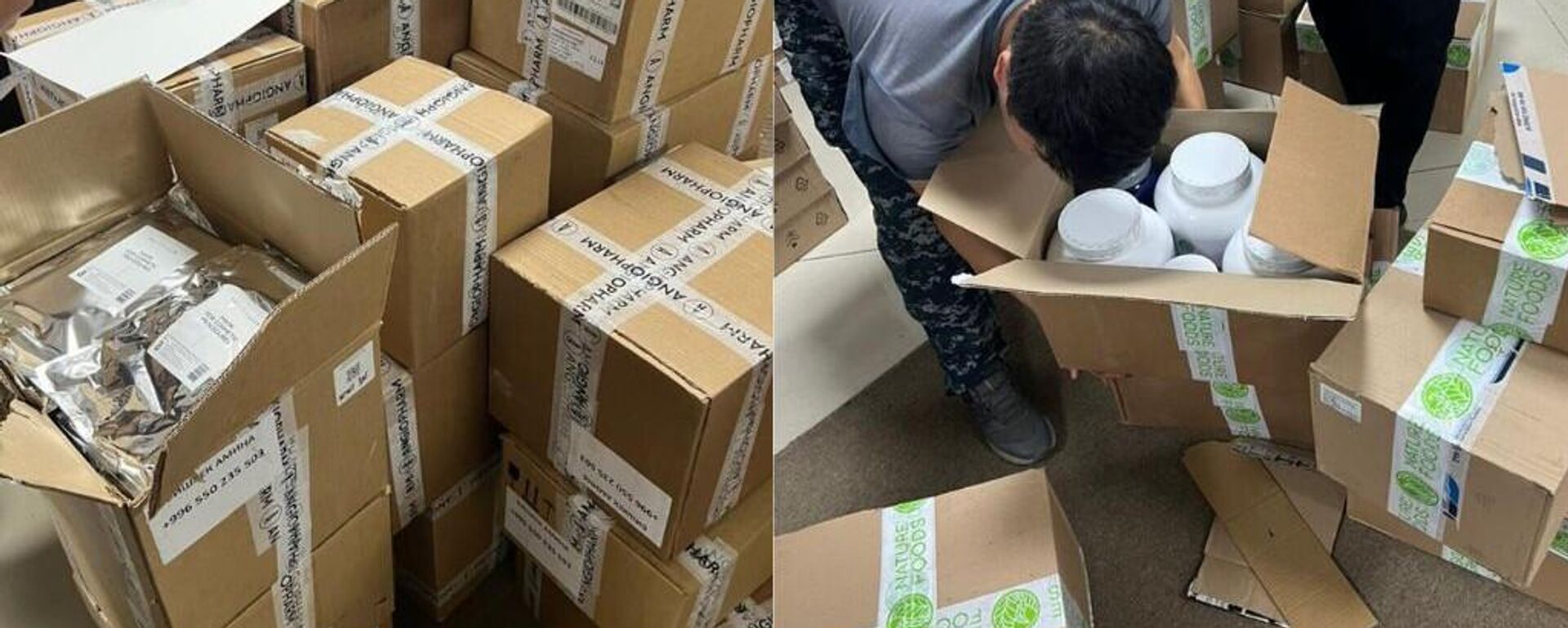 Салыкчылар 12 млн. сомдук дары менен азыктын мыйзамсыз киришине бөгөт коюшту - Sputnik Кыргызстан, 1920, 05.04.2026