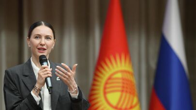 Первый заместитель председателя комитета Государственной Думы РФ по просвещению, председатель совета АНО "Евразия"  Алена Аршинова