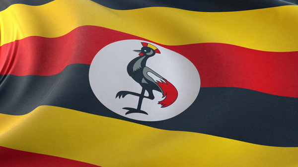 Главком ВС Уганды потребовал от Турции $1 млрд и самую красивую женщину - Sputnik Кыргызстан