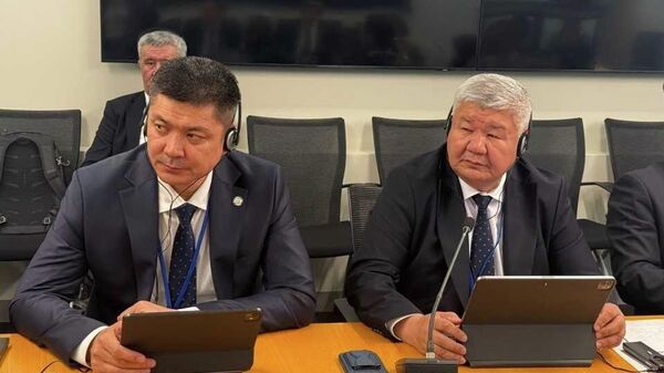 Ход реализации пилотного проекта Кыргызская солнечная электростанция - Sputnik Кыргызстан