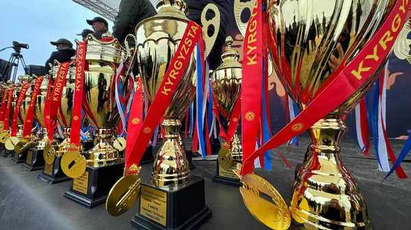 Аграрно-развлекательный фестиваль Айдоо Фест 2026 - Sputnik Кыргызстан