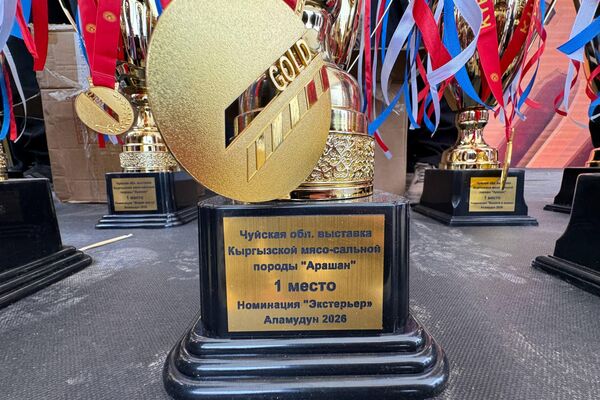 Крупный аграрно-развлекательный фестиваль &quot;Айдоо Фест 2026&quot; - Sputnik Кыргызстан